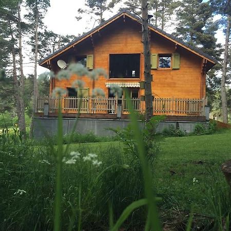 Villa Chalet Le Brame En Cevennes à Saint-Sauveur-Camprieu Extérieur photo